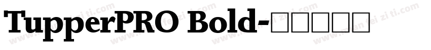 TupperPRO Bold字体转换